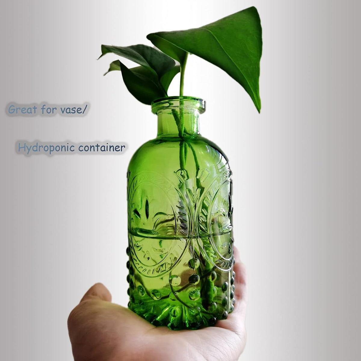 Embossed Glass Apothecary Bottles - Set of 3 — product gallery 04